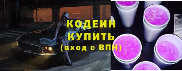 дживик Вязьма
