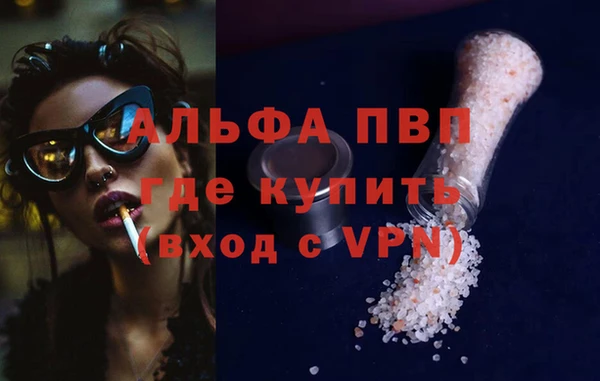дживик Вязьма
