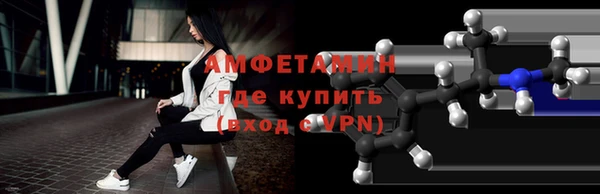 индика Бежецк
