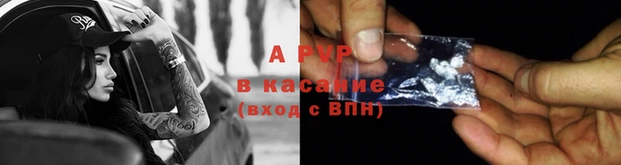винт Вяземский