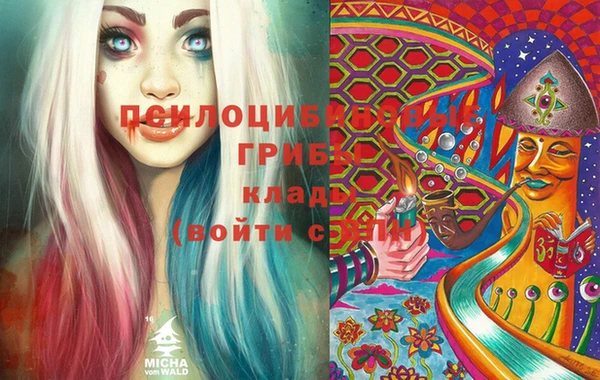 винт Вяземский