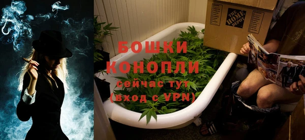 дживик Вязьма