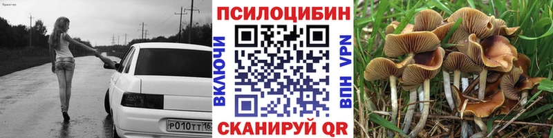 Галлюциногенные грибы Magic Shrooms Ершов