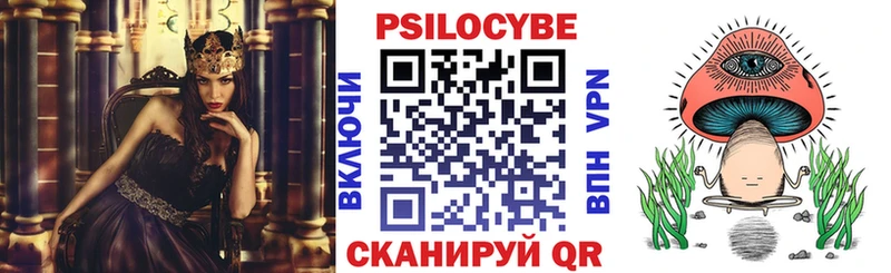 где купить наркоту  нарко площадка состав  Псилоцибиновые грибы Psilocybe  Ершов 
