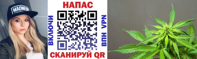 Бошки Шишки сатива  кракен   Ершов 